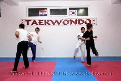 taekwondo kwon training